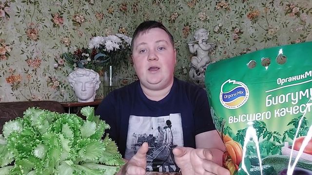 Огород на окне//Плюсы зимнего урожая!????? смотреть онлайн