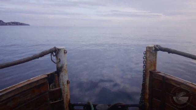 Мурманский рыболовный форум