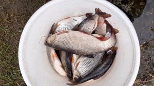 Рыбалка на реке Чусовая. Первоуральск. Отлично половил. Отчет от 3 мая 2020 года.