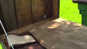 Суть закарпатского пчеловодства 8 часть - Почему лежаки