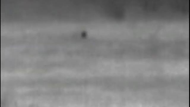 Pulsar Helion XQ 50 450 yards смотреть онлайн