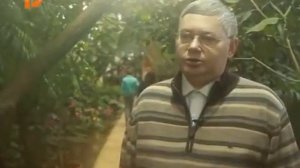 ?Органическое гуминовое удобрение «Гумат Органик» #эффективно