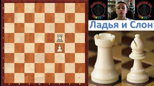 Ладья и слон (шахматы для начинающих)
