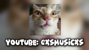 daryana - juice speed up