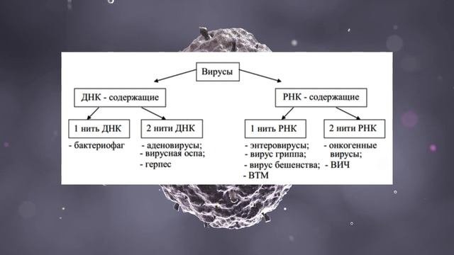 Строение вирусов