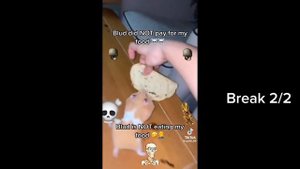 Sans aus react to the fallen stars sanses part 2/3 |•Sleepy_WHAT•|. ||undertale aus||