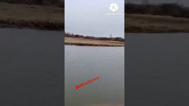 Рыбалка на  реке Миасс #fishing#рыбалка