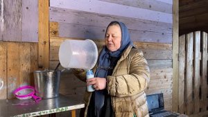 Кормление ягнят из миски и бутылочки. Приготовление смеси для кормления ягнят.