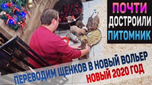 Мы почти достроили идеальный питомник! Переводим щенков Лилу в новый вольер.