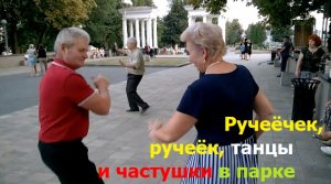 2806 Ручеёчек, ручеёк, расцвела как роза я Танцы песни частушки под гармонь парк фонтан город Орёл