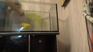 КУПИЛ АКВАРИУМ НА 200 ЛИТРОВ (СПАСИБО ПОДПИСЧИКАМ!!!!!!)