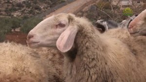 Документальный фильм «ИСТОРИЯ ОДНОЙ ГОСТИНИЦЫ»