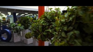 Кашпо собственного производства. Живые растения.