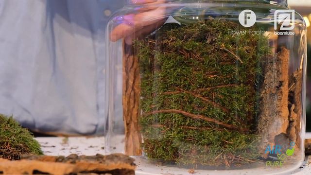 Green Living inspiration: air purifying plant in tough interior
