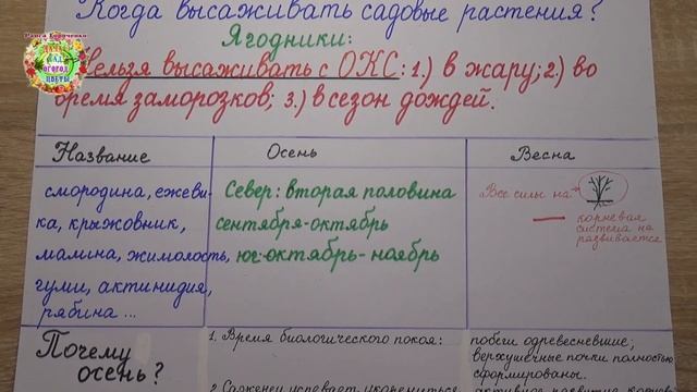 Когда лучше сажать ягодные кустарники: малину, смородину, ежевику, крыжовник? Весной или осенью? смотреть онлайн