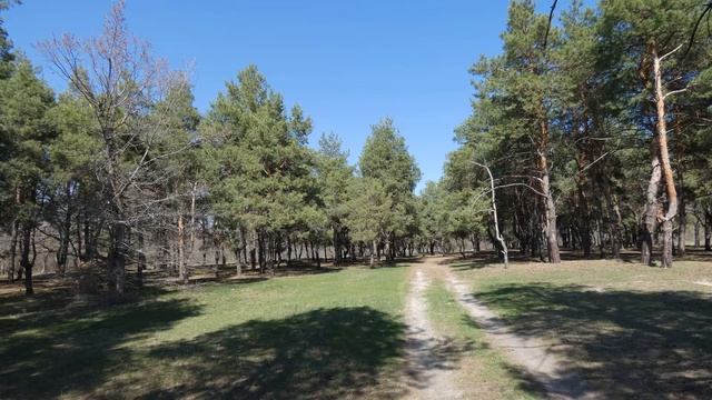 5 мая-День Луки.Чащобные хороводы.Народные приметы. смотреть онлайн