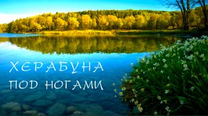 Рыбалка на прутик! Как в ДЕТСТВЕ. КУЧА РЫБЫ под ногами!