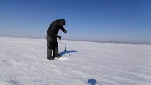 Рыбалка на Озеро УТКУЛЬ! Рыбалка ВЕСНОЙ  со льда _ ЛОВЛЯ ПЛОТВЫ.#последний_лед #рыбалка #плотва