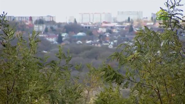 Вторая половина. Матушка Татьяна Самойленко