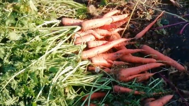 УРА закончилась уборка💓💓💓🤗😁 смотреть онлайн