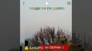 Гиждалае гиждалла, охой кунем чикор кунем, оригинал,