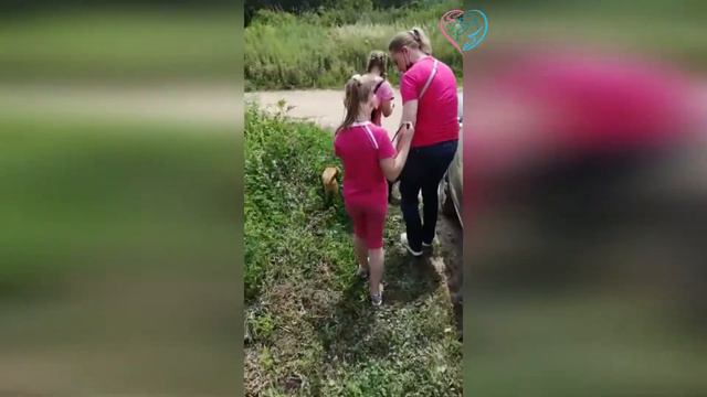 Будни приюта для животных Право на жизнь №2 смотреть онлайн