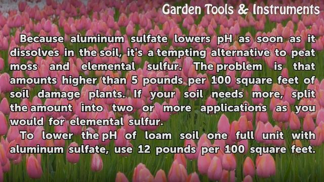 How to Lower pH in Garden Soil смотреть онлайн