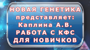 Каплина А. В. Работа с КФС Кольцова С. В. для новичков от 05.02.2020г.