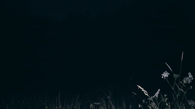 САМОЕ СТРАШНОЕ БОЛОТО В РОССИИ The scariest swamp in Russia смотреть онлайн