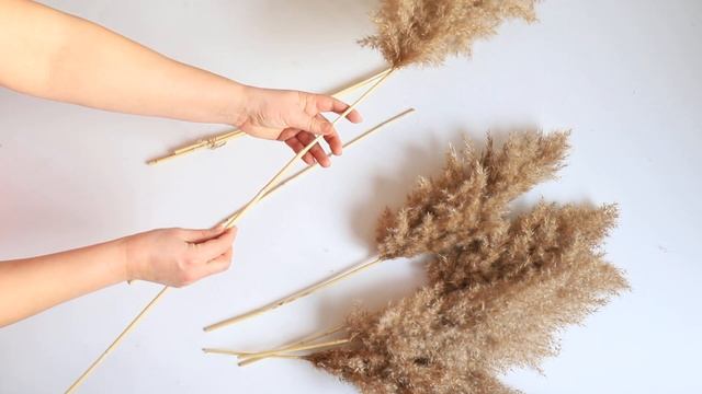 Камыш пампасная трава на WB и OZON смотреть онлайн