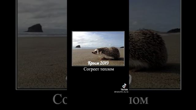 тик ток сделал простой номер смотреть онлайн