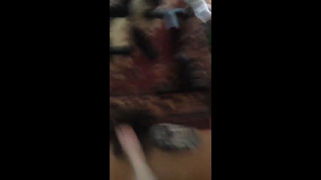 что я делаю в свободное время смотреть онлайн