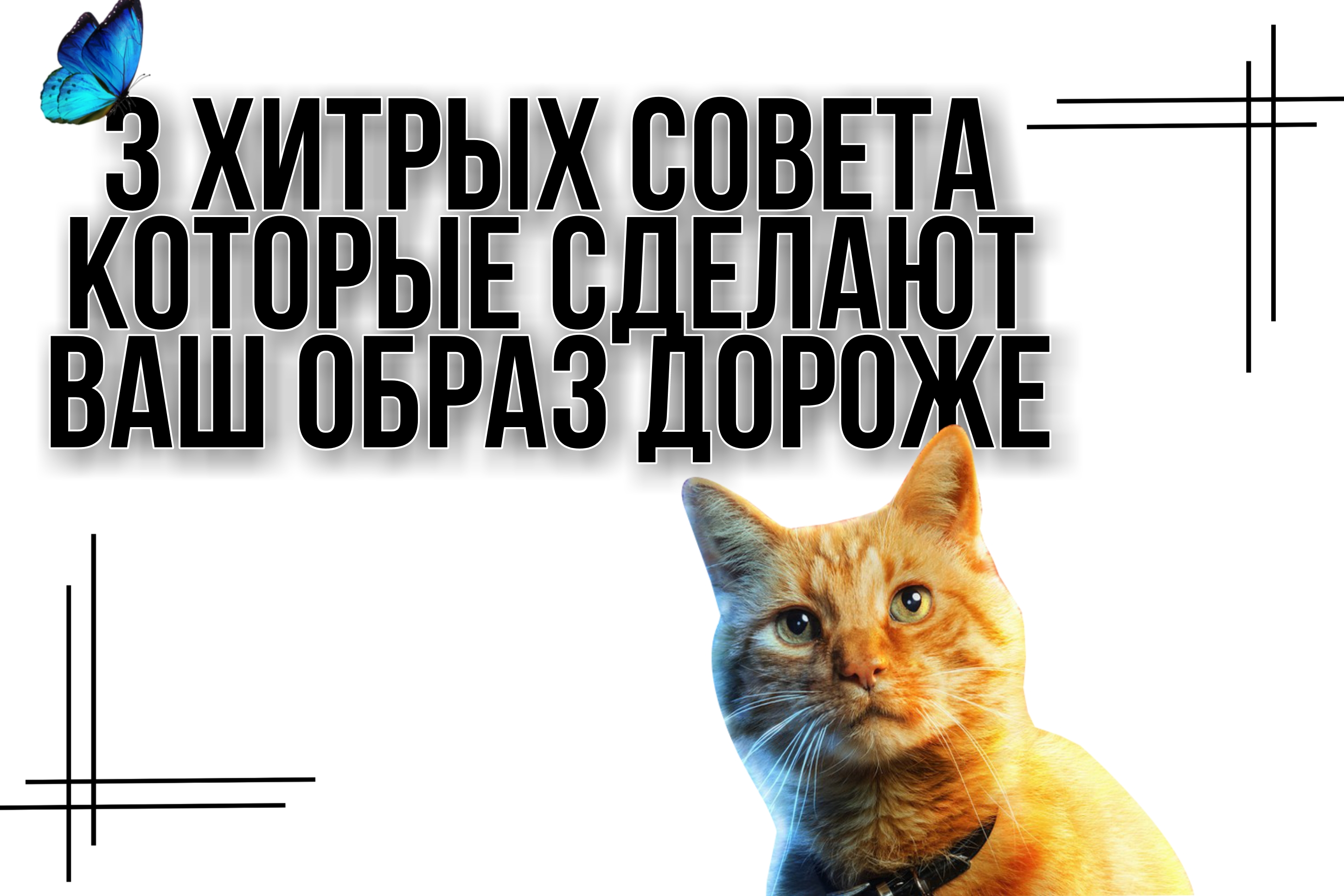 Книги хитрости. Хитрый кот том. Хитрый том 3. Кот из том и джерри. Том и джерри том улыбается.