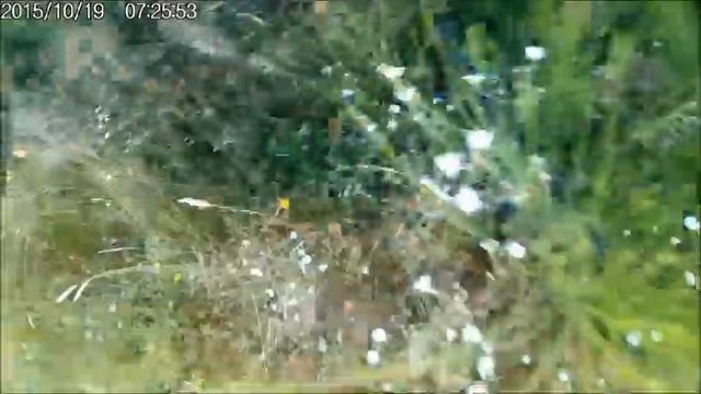 карпаты сказка для Здоровья и Долголетия и Тренировок Нервной системы смотреть онлайн