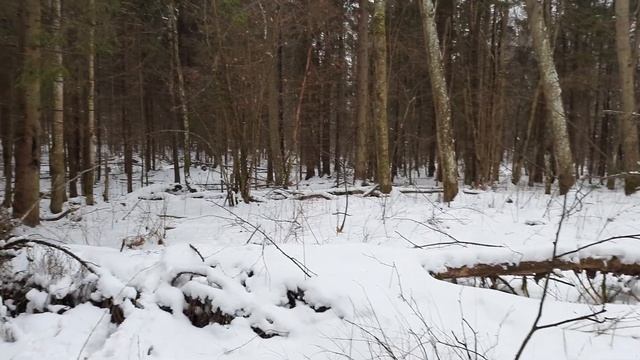 Что можно найти на месте старой деревенской бани... смотреть онлайн