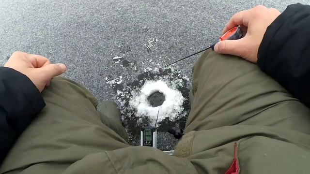 Ловля окуня на блесну и балансир. Рыбинское водохранилище. Первый лед 2019.