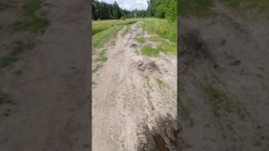 Соперники скутер гонки ямаха гир 2т!, Минск 125, баджадж боксер 150!!!