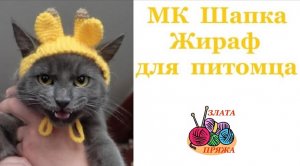 Как вязать шапку Жираф для кота и собаки