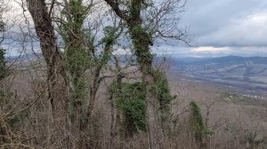 Домик ЙОГИ Абрау Дюрсо