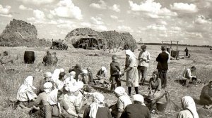 Что такое колхоз?