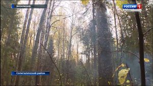 Крушение вертолета в Солигаличском районе: главные подробности