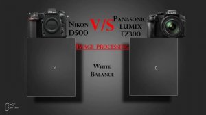 Nikon D500 vs Panasonic LUMIX FZ300