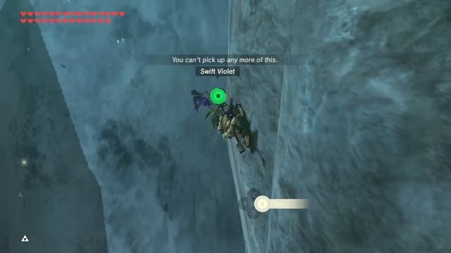 Swift Violet Farming in Zelda Breath of the Wild | BotW смотреть онлайн