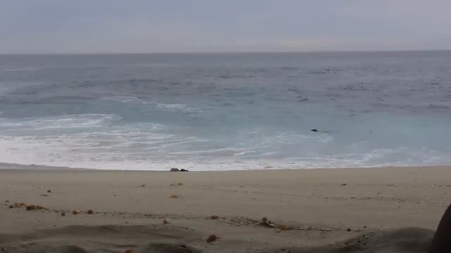 Wipeout Beach - Flamenco Guitar La Jolla смотреть онлайн