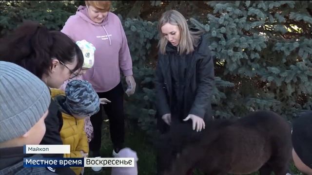 Четвероногие Айболиты лечат детей с ДЦП, аутизмом, синдромом Дауна смотреть онлайн