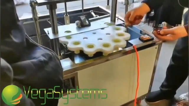 Удаление косточек абрикоса, сливы Vega Cherry Pitting 1000 смотреть онлайн