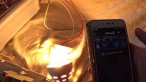 Управление светом с телефона. Настройка Shelly 1