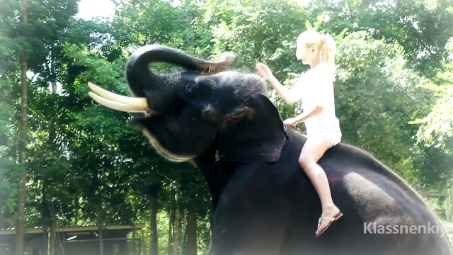 Режисер моих снов смотреть онлайн