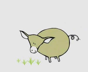 РОЛЬ ГОЛОВНОГО МОЗГА