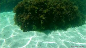 пляж Баунти в Крыму